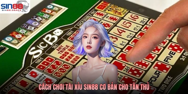 Cách chơi tài xỉu Sin88 cơ bản cho tân thủ