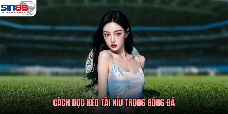 Cách Đọc Kèo Tài Xỉu Trong Bóng Đá Hiểu Đúng Phân Tích Chuẩn 2 Cách Đọc Kèo Tài Xỉu Trong Bóng Đá Hiểu Đúng Phân Tích Chuẩn