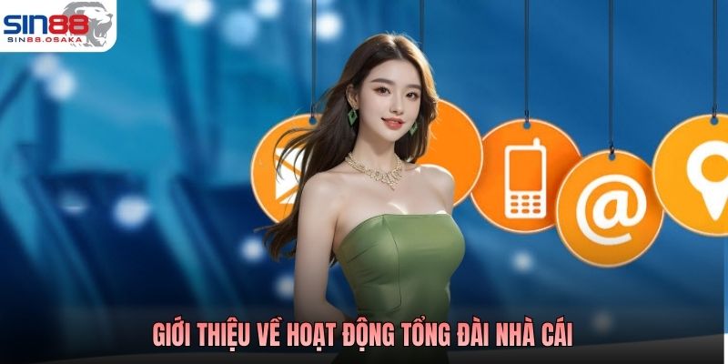 Giới thiệu về hoạt động tổng đài nhà cái