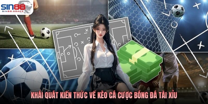 Khái quát kiến thức về kèo cá cược bóng đá tài xỉu
