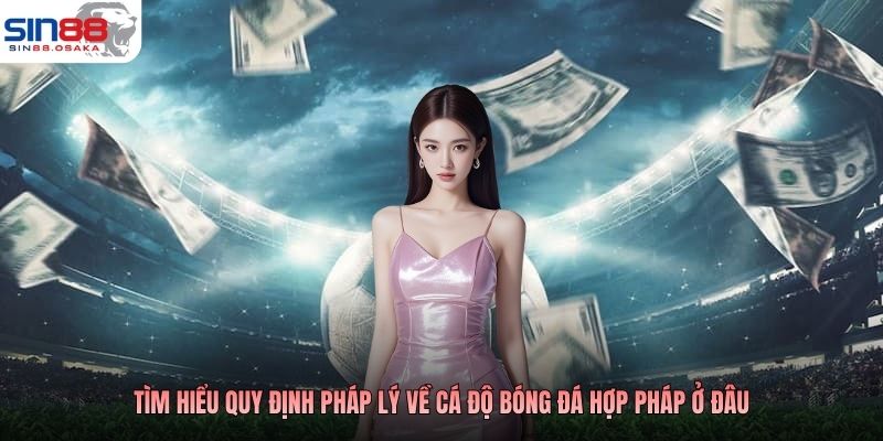 Tìm hiểu quy định pháp lý về cá độ bóng đá hợp pháp ở đâu