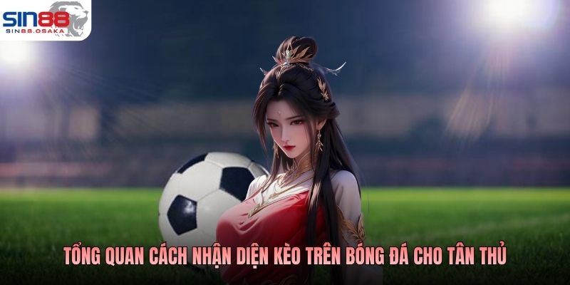 Kèo Trên Bóng Đá - Cửa Mạnh Lên Tiếng, Thắng Là Ăn Đậm 2 Tổng quan cách nhận diện kèo trên bóng đá cho tân thủ
